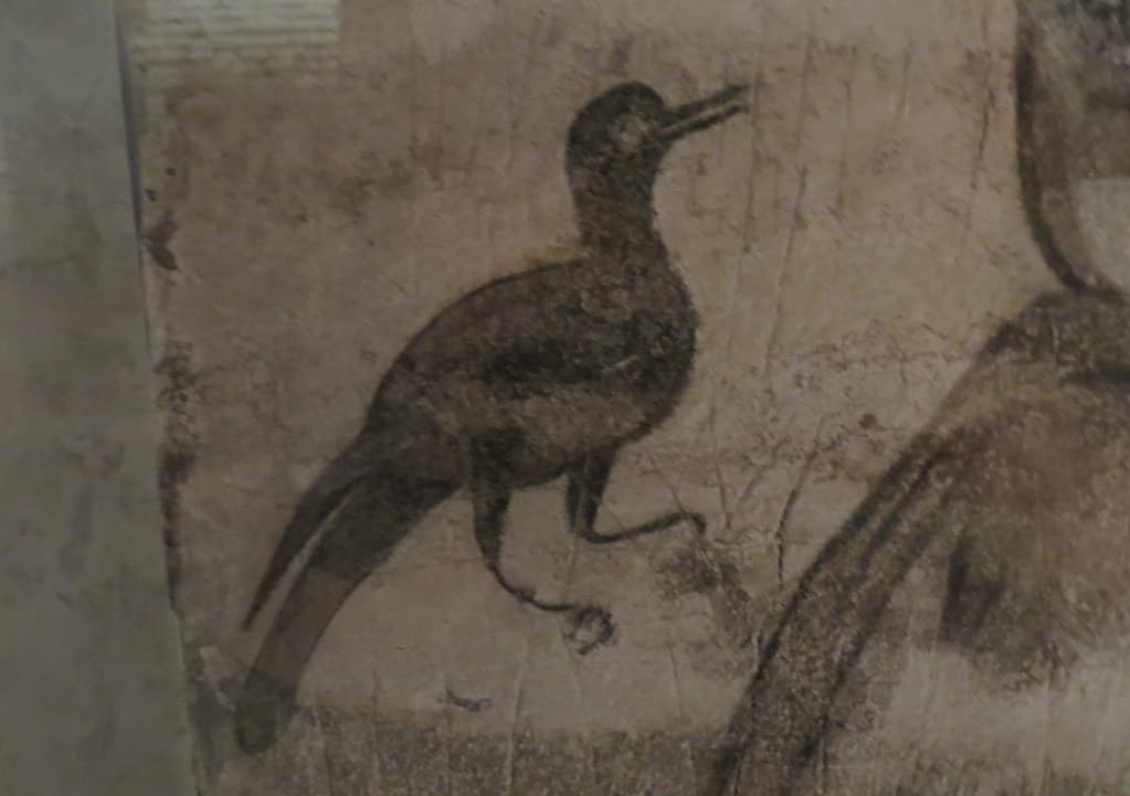 L'évolution du français en Suisse romande: Entre histoire et dialectes